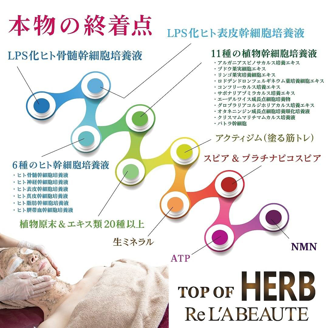 随時アップデートしています